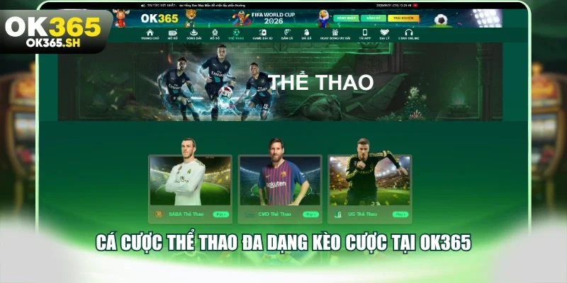 Cá cược thể thao đa dạng kèo cược tại OK365